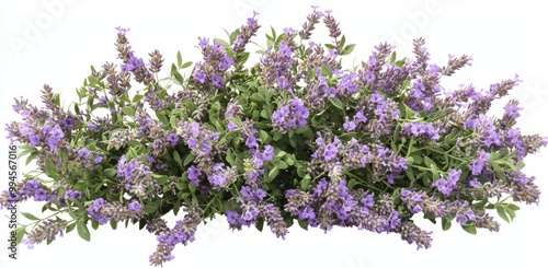 This bouquet of cut-out purple lavender flowers is vibrant and colorful