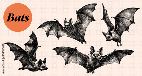 bats set collection hand drawn sketch illustration modern trendy poster template design on cell background