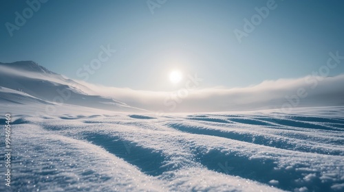 Snow-covered landscape with a clear sky.