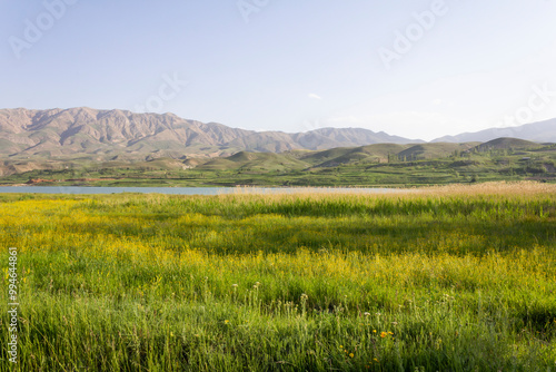 Scenery of a lake surrounded y the grass-covered hills of Alborz mountain on a beautiful warm day in Iran. photo