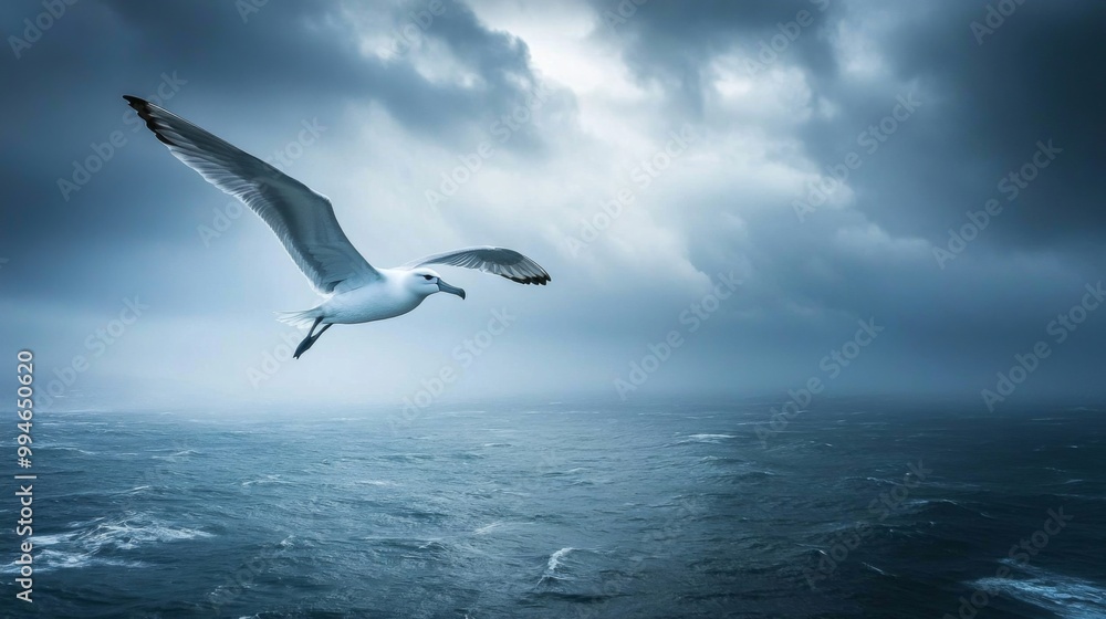Obraz premium A single seagull flies against a backdrop of dramatic stormy clouds and choppy ocean waves.