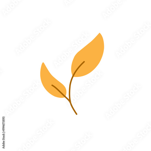 autumn forest leaf 