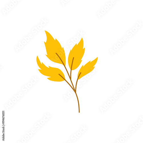 autumn forest leaf 