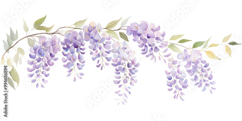 PNG  Soft color asmall bush wisterias illustration watercolor blossoms. photo