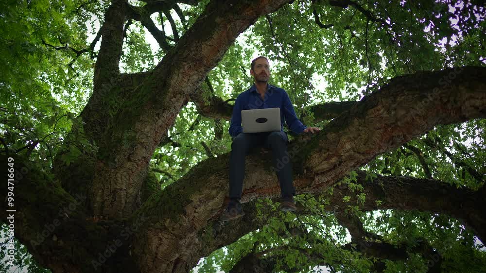 A person diligently working on a laptop while perched comfortably in a large tree A person diligently working on a laptop while perched comfortably in a large tree