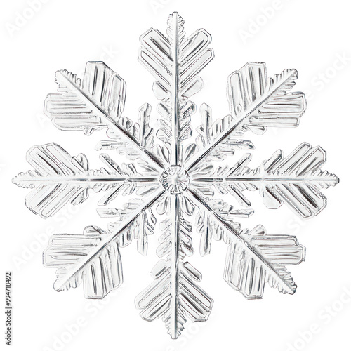 PNG A snowflake nature chandelier decoration.