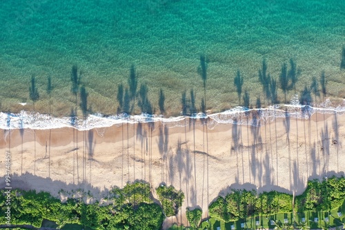 Early morning palm tree shadows on the beach in Hawaii photo