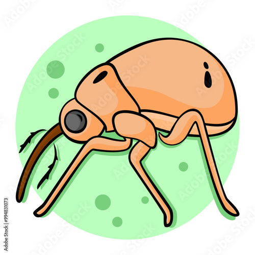 23-Weevil.svg