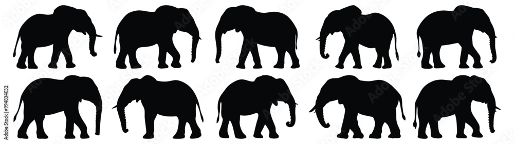 Elephant silhouettes set, animal pack of vector silhouette design, isolated background. Elephant silhouettes set, animal pack of vector silhouette design, isolated background.