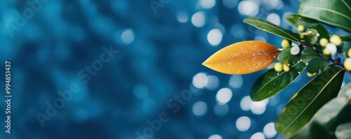 Close-up of vibrant green leaves against a shimmering blue background.
