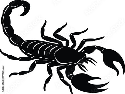 Silhouette of scorpion. Scorpion close-up detailed. Vector scorpion icon on white background.