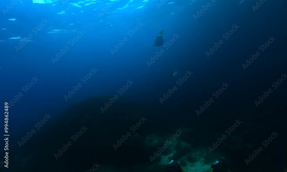 Before the Dive: Scuba Diver's Ocean Preparation Before the Dive: Scuba Diver's Ocean Preparation