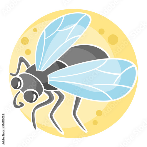 07-Fly.svg