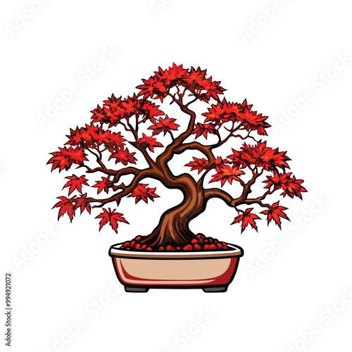 A Japanese maple bonsai tree with tiny red leaves.