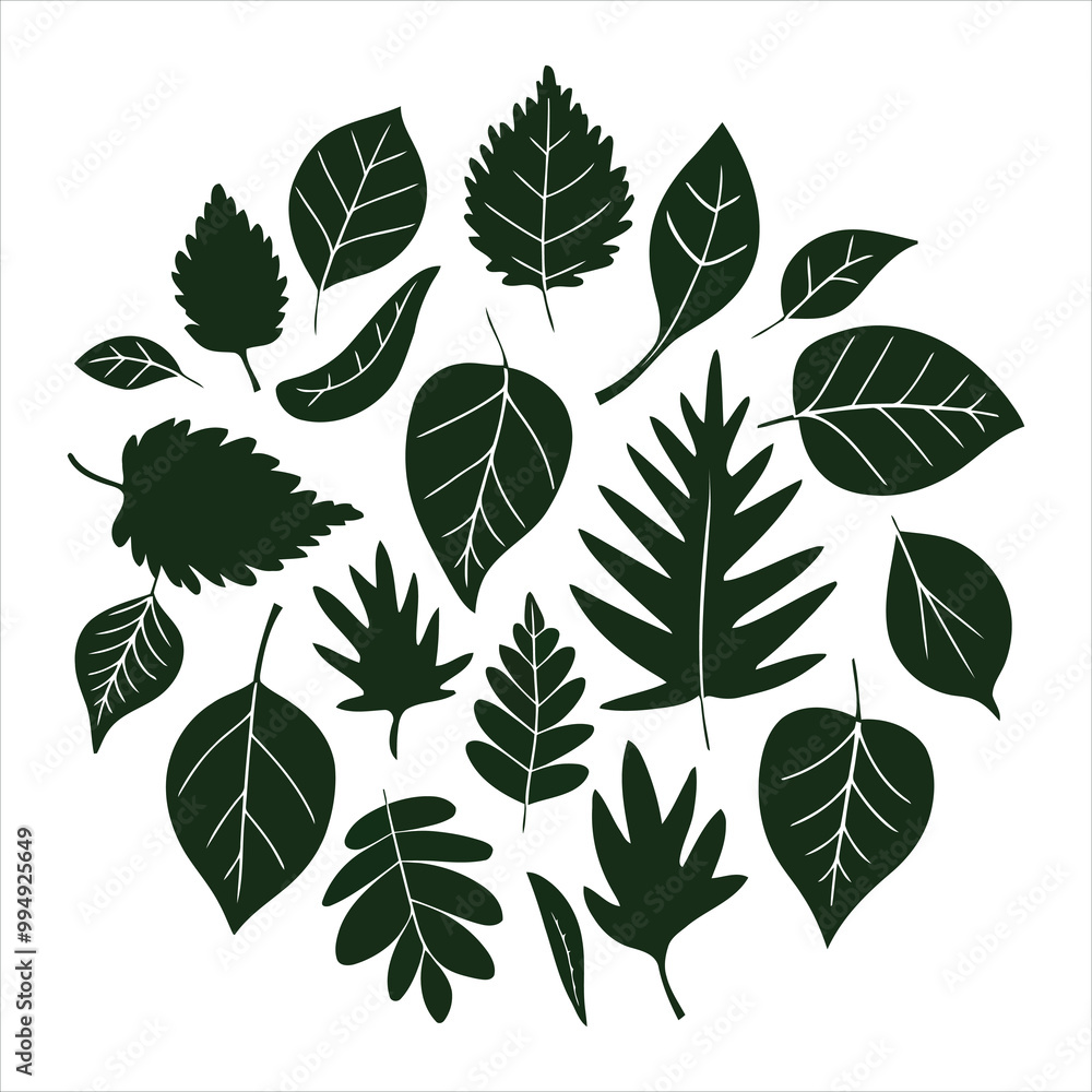 Fototapeta premium leaf icon