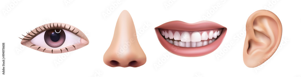 3d realistic vector icon illustration. Five sences concept, eye, nose, mouth, ear. Hearing, smelling, seeing, tasting. Human anatomy. 3d realistic vector icon illustration. Five sences concept, eye, nose, mouth, ear. Hearing, smelling, seeing, tasting. Human anatomy.
