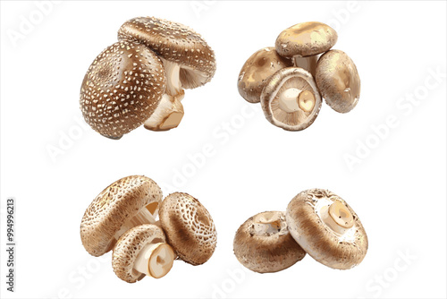 Champignon mushrooms fungus food white background.