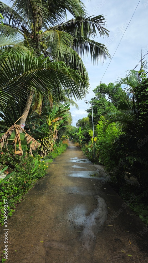 Narrow village street in countryside at Vinh Long province, Mekong Delta Vietnam in the morning.