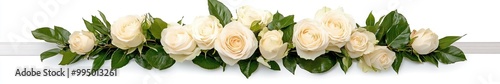 Banner of a garland of picked roses, layout in a row. White background, 6:1 for website, bridal graphic resources