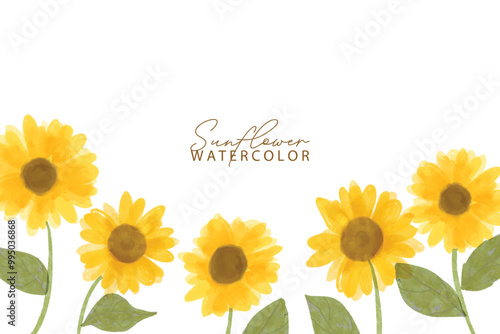 Sunflower watercolor background. Summer yellow blossom flowers collection. Vector illustration. Botanical watercolor hand drawn sunflowers, leaves, plants. 
