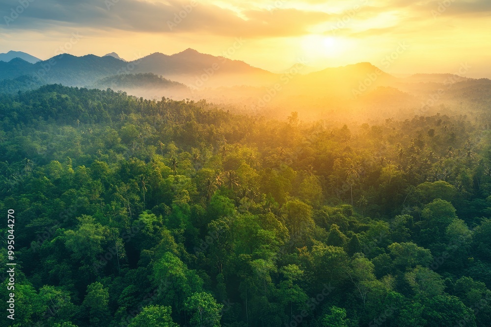 Aerial top view forest tree, Rainforest ecosystem and healthy environment concept background, Texture of green tree forest view from above, generative ai Aerial top view forest tree, Rainforest ecosystem and healthy environment concept background, Texture of green tree forest view from above, generative ai