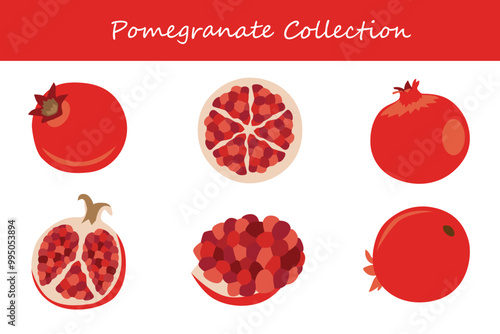 pomegranate collection in different poses. Vector illustration.