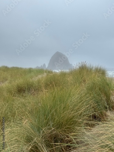 Cannon beach and grassy dunes