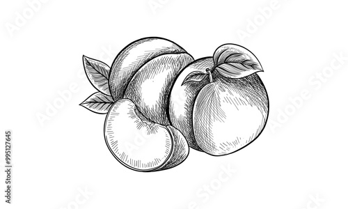 Hand-drawn sketch of a whole and halved peach with leaves