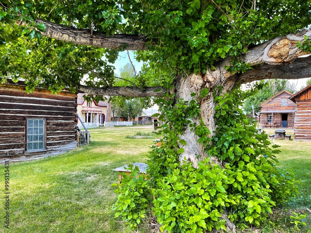 Nevada City Ghost Town in Montana. Nevada City Ghost Town in Montana.