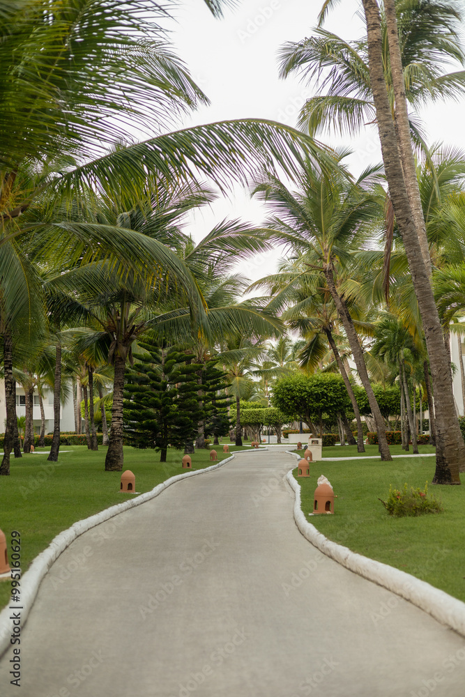 Road to a hotel surrounded by nature in the daytime, panoramic scene of a tourist place in the coastal area, beauty of the place Road to a hotel surrounded by nature in the daytime, panoramic scene of a tourist place in the coastal area, beauty of the place