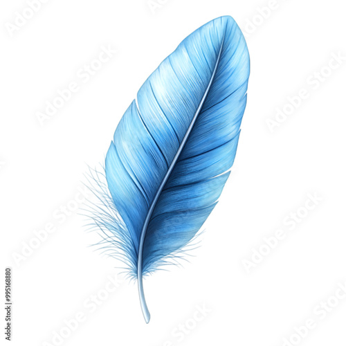 Colorful feather isolated on white and transparent background. PNG cutout.