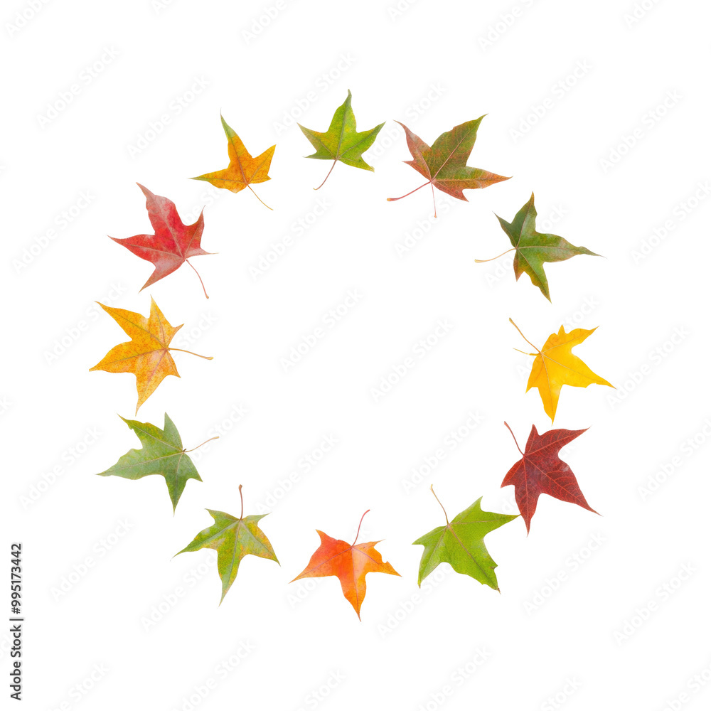 Colorful Autumn Leaves in a Circle Colorful Autumn Leaves in a Circle