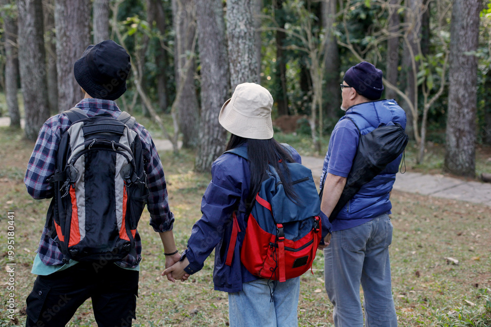 Rear View of Family Member Holding Hands in The Pine Forest Rear View of Family Member Holding Hands in The Pine Forest
