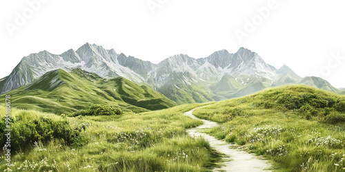 Fototapeta Naklejka Na Ścianę i Meble -  Scenic mountain trail surrounded by greenery and flowers, isolated on transparent cutout background