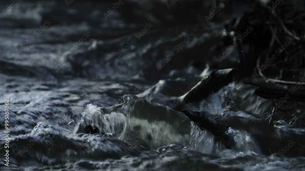 Close-up of fast flowing water in the river flowing around a fallen branch Close-up of fast flowing water in the river flowing around a fallen branch