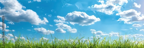 Serene Wildflower Meadow on a Sunny Day and Blue Sky with White Cloud Background