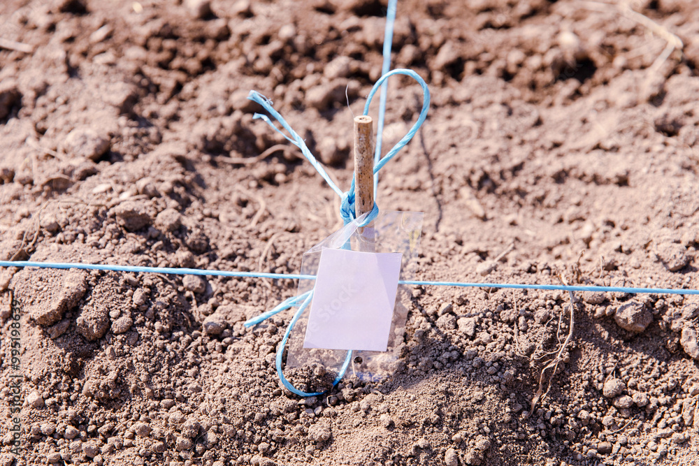 Gardening, wooden stick with blue string and empty tag in soil, groundwork, planting marking concept Gardening, wooden stick with blue string and empty tag in soil, groundwork, planting marking concept
