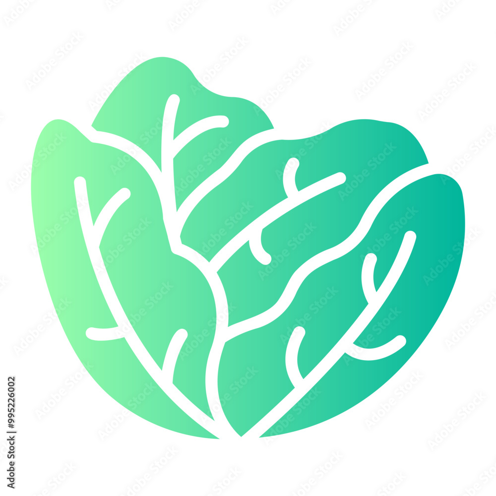cabbage cabbage