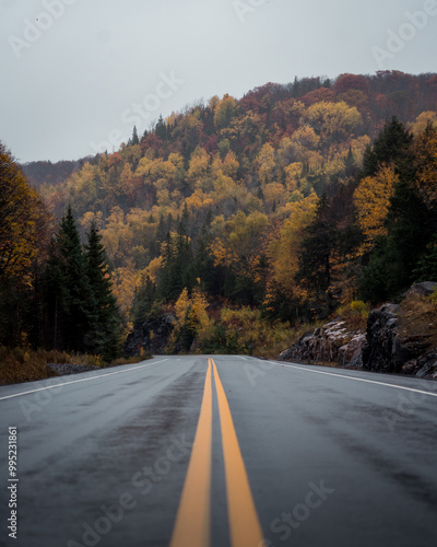 Algonquin Park Empty Road