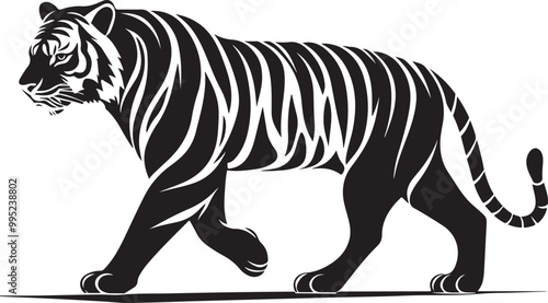 zebra isolated on white