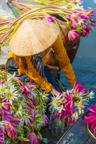 Wallpaper Mural view of rural Vietnamese girl in Moc Hoa district, Long An province, Mekong Delta are harvesting water lilies. Water lily is a traditional dish here. Torontodigital.ca