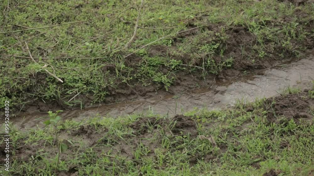 Close up of small channel of water flowing on grassy land. Static, high angle Close up of small channel of water flowing on grassy land. Static, high angle