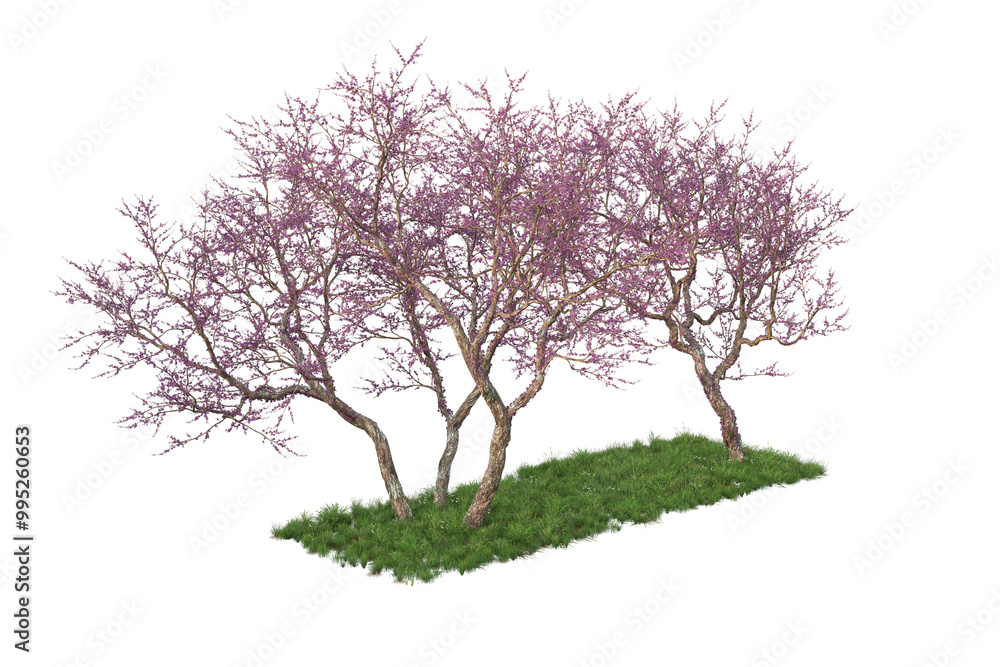Trees, flowers, grass, low bushes rendered with 3dsmax Trees, flowers, grass, low bushes rendered with 3dsmax