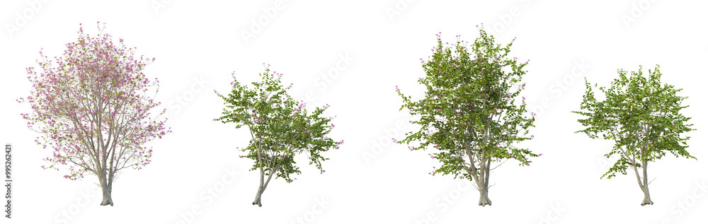 Trees, flowers, grass, low bushes rendered with 3dsmax Trees, flowers, grass, low bushes rendered with 3dsmax
