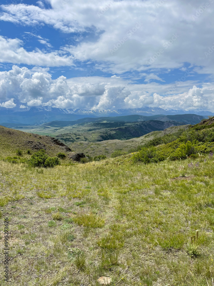 Fototapeta premium Summer landscape, Mountain Altai. Picturesque place in the mountains. 