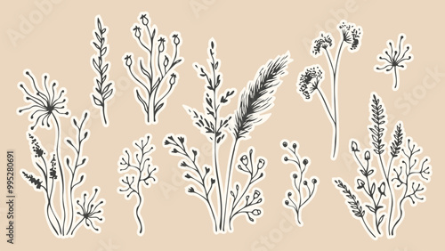 Wildflowers doodles, stickers, clip art. Black silhouettes of meadow herbs, branches, grass, flowers. Field. Hand drawn sketch. Decorative florals for prints, planners, stationary, cards