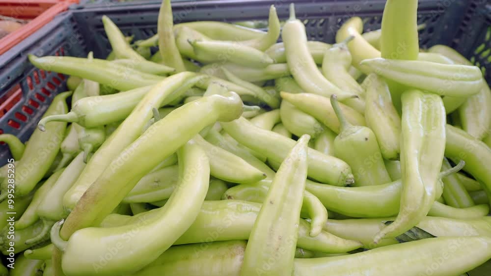 Fresh Green Chili Peppers Available in a Bustling Local Market for Enthusiastic Food Lovers Fresh Green Chili Peppers Available in a Bustling Local Market for Enthusiastic Food Lovers