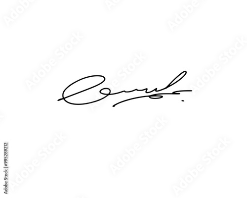 Abstract signature ideas for documents. Vector with transparent background.