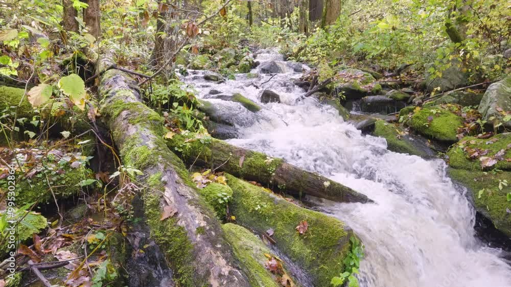 Forest Creek Stream with Rocks Landscape 1 Forest Creek Stream with Rocks Landscape 1