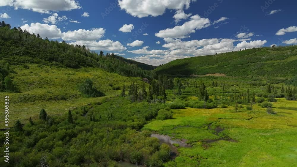 Mount Sneffels Wilderness Blue Lakes Trailhead Last Dollar Road Ridgway Colorado aerial drone summer green lush valley creek river Aspen trees blue skies clouds four wheel drive daytime forward Mount Sneffels Wilderness Blue Lakes Trailhead Last Dollar Road Ridgway Colorado aerial drone summer green lush valley creek river Aspen trees blue skies clouds four wheel drive daytime forward